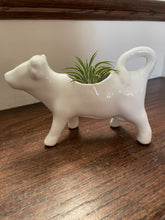 Load image into Gallery viewer, Vintage Creamer Cow with Airplant