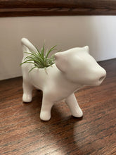 Load image into Gallery viewer, Vintage Creamer Cow with Airplant